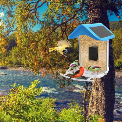 China Automatic Waterproof Bird Buddy Smart Bird Feeder with Camera WIFI APP Connection Bird Feeder House for sale