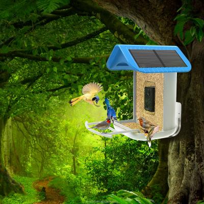 China Amazon Good Quality Automatic Solar Bird Seed Dispenser Bird Lover Solar Filling Smart Feeder With Birdfy Camera for sale