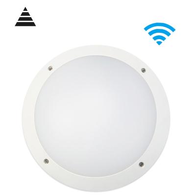 China Garden Corridor Stair Balcony Factory Project Led Lighting 20W 220V Light Indoor Outdoor Smart Sensor Around Led Ceiling Lamp for sale