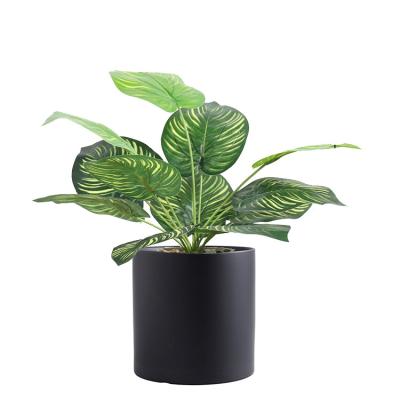 China Minimalist Home Decoration Living Room Indoor Artificial Plants And Potted Flower Plants for sale