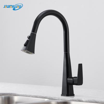 China Water Metered Heater Kitchen Pullout Faucet Kitchen Mixer Kitchen Pullout Flexible Stainless Professional Faucets Manufacturer for sale