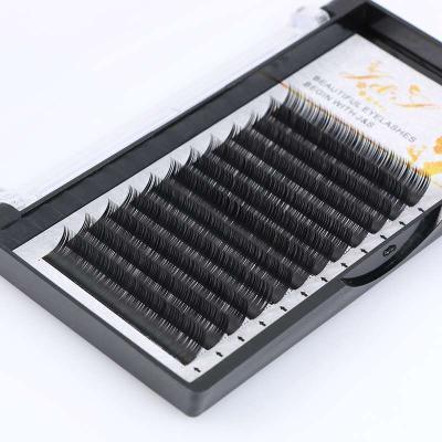 China 100% Handmade Flat Lash Extensions Faux Mink Natural Flat Lash Extension Lashes Lashes Lashes for sale