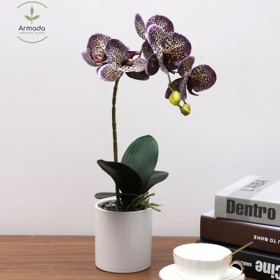 China Natural Touch Fabric Warm Silk Flowers Decorate Living Room Spring Festival Purple Orchids With Artificial Flower Plastic Pots for sale