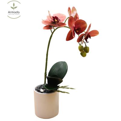 China Factory direct sales touch natural lifelike natural touch interior decoration look like real flowers orchid with artificial flowers for sale