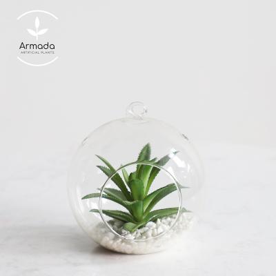 China Customizable White Indoor Stone Table Ornaments Mini Long Lasting Green Plants Succulent Potted Plants for sale