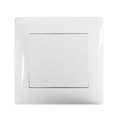 China Safe Operation 250V European Standard Outdoor Wall Light 1 Way Electrical Strip 1 Way Switches for sale