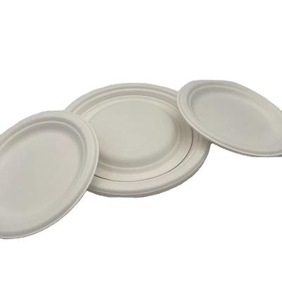 China Biodegradable Compostable Disposable paper tray eco wholesale sugarcane fiber bagasse food tray with for school restaurant party Commercial Buyer Hotels for sale