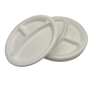 China Disposable Multi-functional eco-friendly tableware can compost biodegradable bagasse pulp party disposable dinner plate for sale