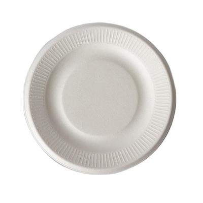 China Biodegradable Compostable Within 90 Day Biodegradable sugarcane pulp plate Eco-friendly plate fruit delivery salad plate Chip plate for sale