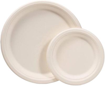 China Disposable Eco-friendly Biodegradable Disposable sugarcane pulp paper plate for sale