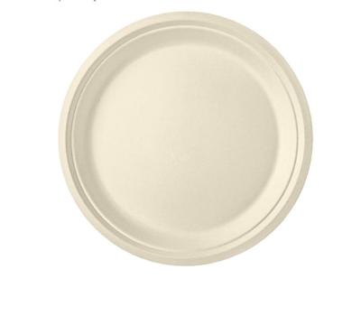 China Disposable compostable platepizza plate, pasta plate, fruit salad plate, Christmas plate for sale