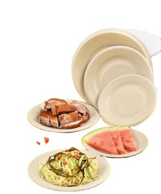 China Disposable Environmentally friendly disposable sugarcane pulp plate, pizza plate, pasta plate, fruit salad plate, chip plate, for sale