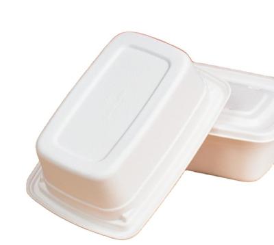 China Oil-Resistant Disposable eco-friendly meal box for sale