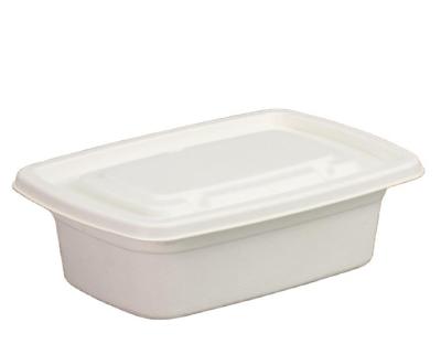 China Food Catering Disposable environmental food box for sale