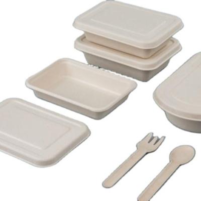 China Biodegradable Compostable Within 90 Day disposable bagasse paper lunch box for sale