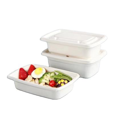 China Disposable Food Takeaway Packaging Hot-selling biodegradable lunch box for sale