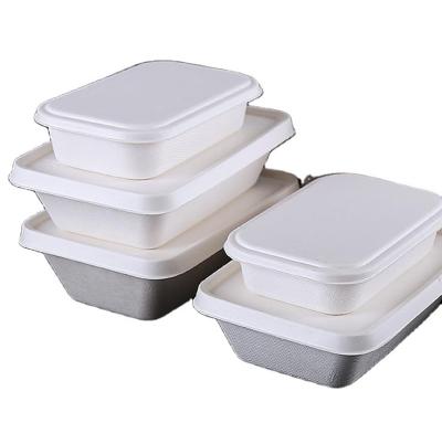 China Food Contact Safe Disposable environmental food box for sale