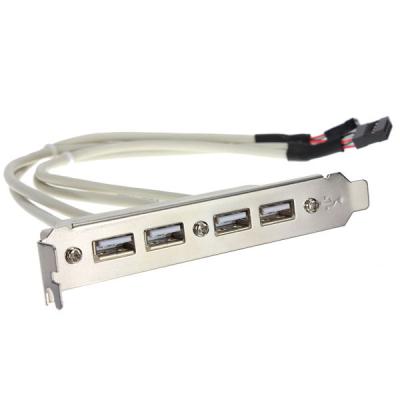 China Motherboard New Style External 2 Port USB Bracket Enable Motherboard 4Port USB 2.0 Female USB Extension Cable for sale