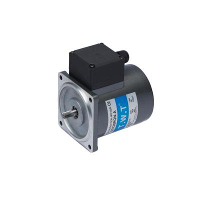 China Quitly High Torque Brushed DC Motor Permanent Magnet Motor 5TK20GN-A for sale