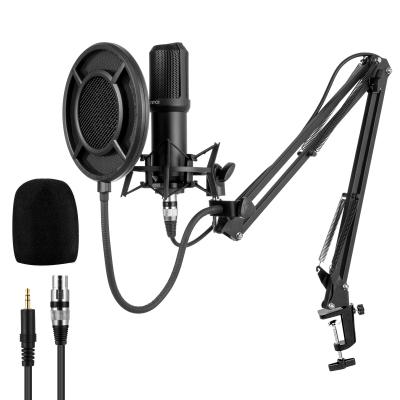 China Yanmai Mic Condenser Studio Q10 Foldable Microphone USB Microphone Pro Audio Microphone With Sound Recording Arm Stand Filter for sale