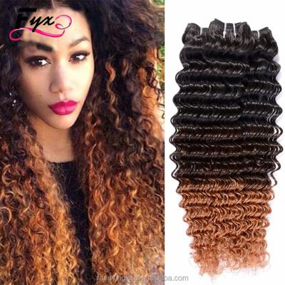 China Deep Wave Ombre Color 3T Cuticle Aligned Hair Bundles Hair Bundles With Closure for sale