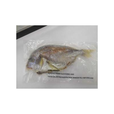 China Widely Used NATURE Factory Sale Various Good Price Frozen Snapper for sale