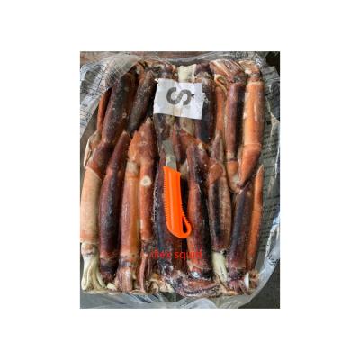 China High Quality Nutritious Wholesale The Best Price Frozen Squid Factroy Price for sale