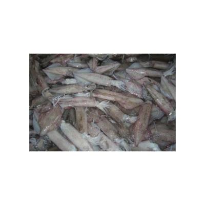 China Nutritious hot sale top quality best price wholesale squid supplier frozen seafood for sale