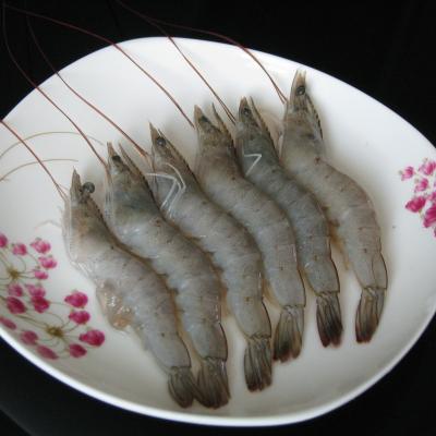 China Vannamei Characteristic Wholesale Frozen Shrimp Whole Seafood Shrimp for sale