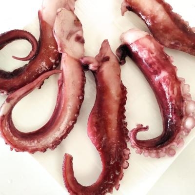 China Nutritious Squid Giant Black Tentacle Squid for sale