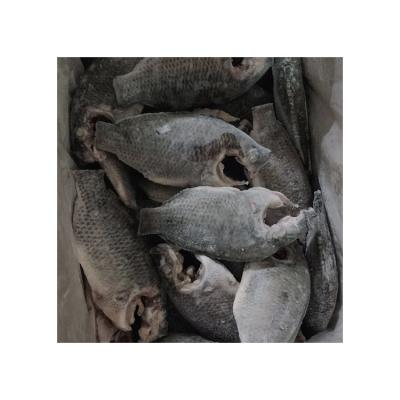 China Miscellaneous NATURE Promotional Goods Using Frozen Whole Cleaned Cut Tilapia Fish for sale