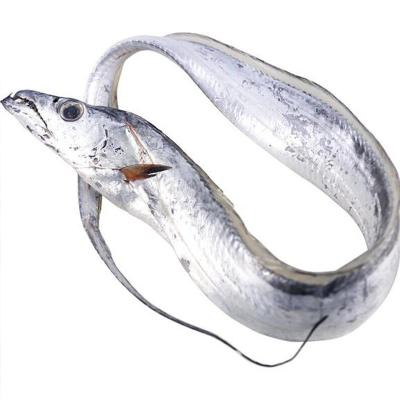 China Low-CARB Hairtail Factory Supply Fresh Frozen Long-tailed Anchovies Small Size-Wild Eye Wholesale Aquatic Direct Frozen Seafood7kg/pieces for sale