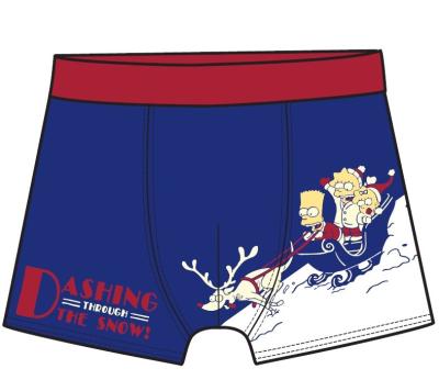 China QUICK DRY Children's Holiday Christmas Underwear Boxer Briefs Briefs Gift Set With Stockings for sale