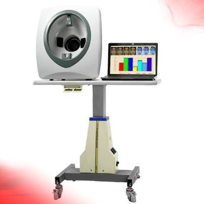 China Skin Wrinkle Analysis Magic Mirror Facial Skin Scanner /Professional Skin Scope Analysis Machine for sale