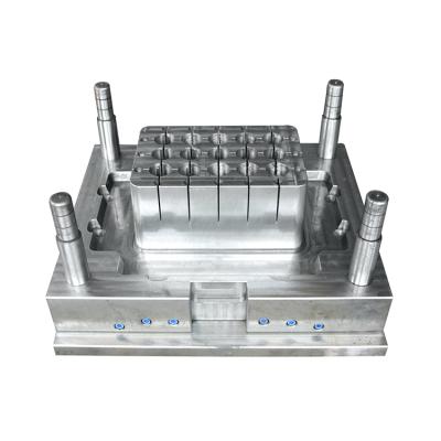 China High Quality Profession Steel Molds Plastic Beer Bottle Crate Injection Molds for sale