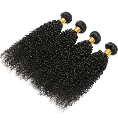 China Burmese Curl Premium Grade Lond Deep Raw Human Mongolian Afro No Shedding Curly Indian Hair 36 Inch Exotic Curly Bundles 613 for sale