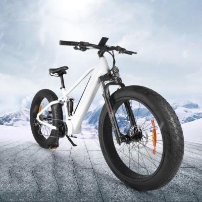 China Akkubici mid drive aluminum alloy motor ebike fat tire 26 heu dual disc snow mtb ebike bafang 750w 48v mountain electric bicycle for sale