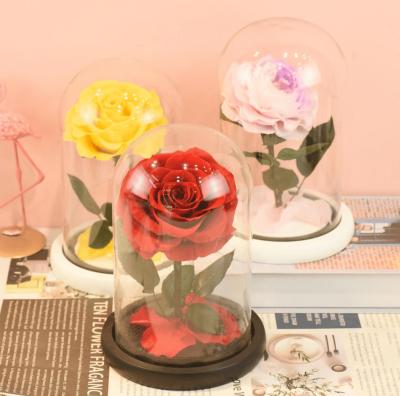 China Wholesale Romantic Beauty and the Beast One Rose In Glass Dome Preserved Rose Flower for sale