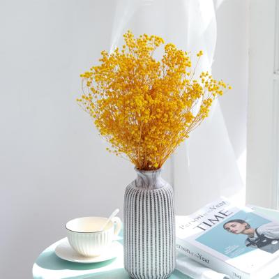 China Fashional Natural Decoration Dried Exquisite Preserved Flowers Baby's Breath Baby's Breath For Gift Decoration Wedding for sale