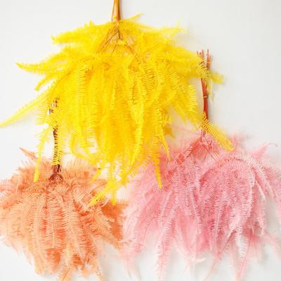 China Real Touch Real Nature Touch Dried Flowers Decorative Flowers Fern Leaves Dried Fern For Festivals Wedding Events Decoration for sale