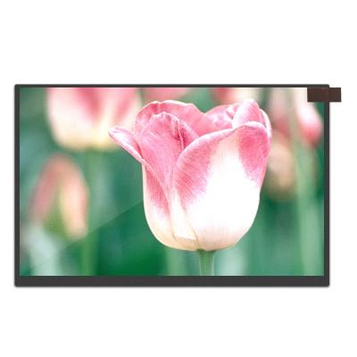 China Wholesale Boe 10.1 Inch 1280*800 Hd Digital IPS Car LCD Control Panel Display Computer Connect 30 Pins Custom GV101WXM-N81 10.1 inch for sale