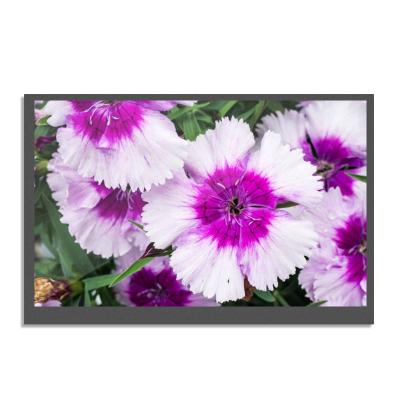 China Original TFT HD LCD Screen Display Modules Panel HSD070JDW6-A00 Outdoor High Brightness 800x480 1000 cd/m With 7 Inch TV Control Panel for sale