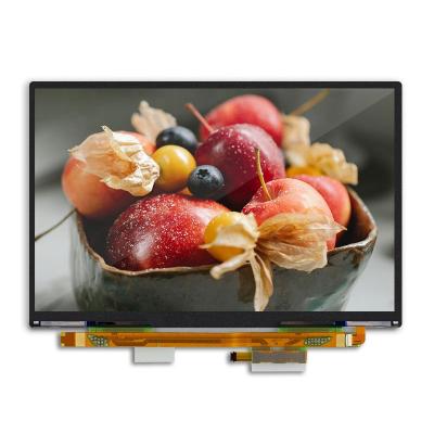 China Original Supplier JDI LPM101A490A 10.1 inch MIPI LCD display screen 2560*1600 resolution suitable for 10.1 inch tablet notebook game for sale