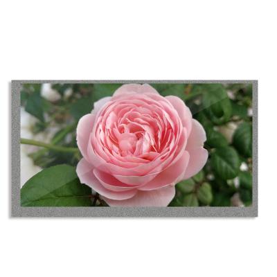 China Original LG 7 inch fpc TFT LCD display screen 800x480 brightness 350 RGB photo frame for industrial and doorbell 7 inch for sale