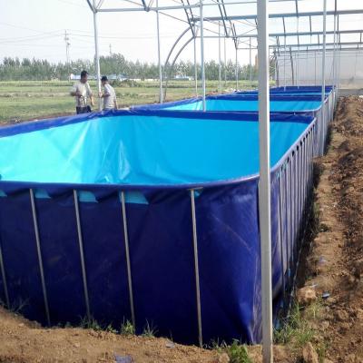 China Fish Farm Qingdao Collapsible steel frame PVC tarpaulin fish farming using soft Fish tank  With different color and shape for sale