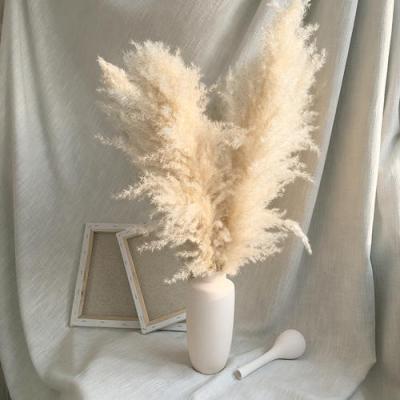 China Fake Natural Dried Stem Beige Pampas Grass Decor Large Premium Real Pampas Grass Large For Wedding Layouts Home And Boho Decor for sale