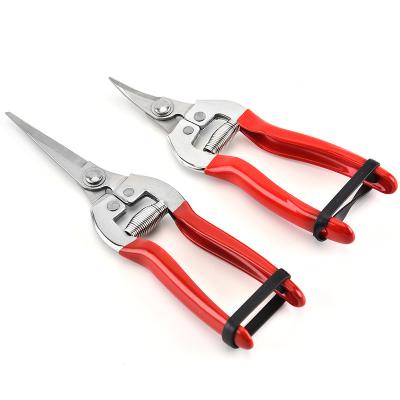 China Anti-Slip Grip Customized Plastic Handle Scissors Curved Trimming Prunging Shears Garden Tools Scissors for sale