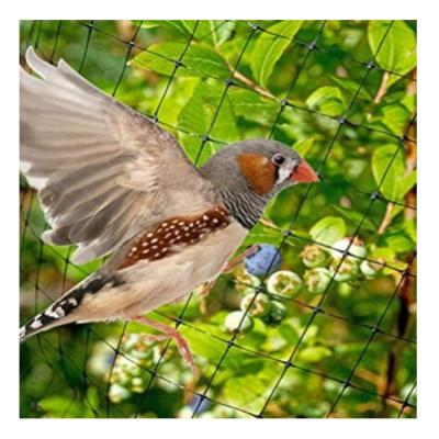 China Farm Factory Price Plastic Polyamide (Nylon) Pe Nets Garden Orchard Anti Bird Net for sale