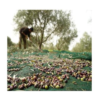 China High Quality Corrosion Resistance HDPE Agriculture Fruit Olive Collecting Harvest Nets Olive Gather Net for sale