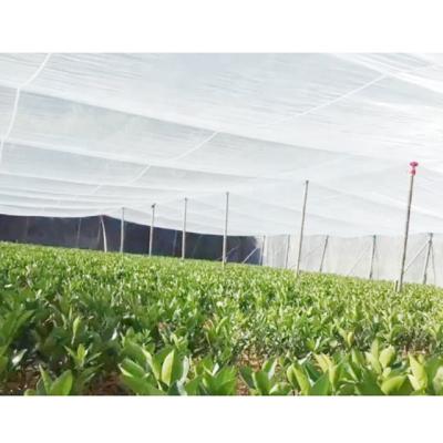 China Corrosion Resistance High Density Polyethylene Anti Hail Netting Durable HDPE White Nylon Anti Hail Netting for sale